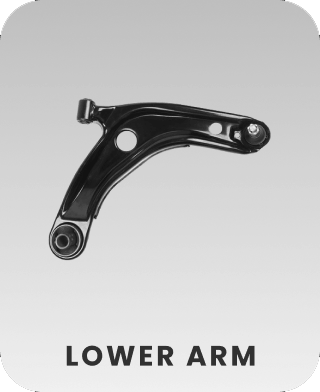 Lower Arm