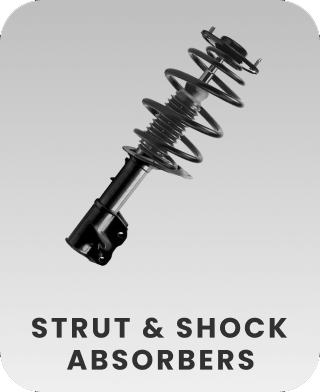 Struts & Shock absorbers